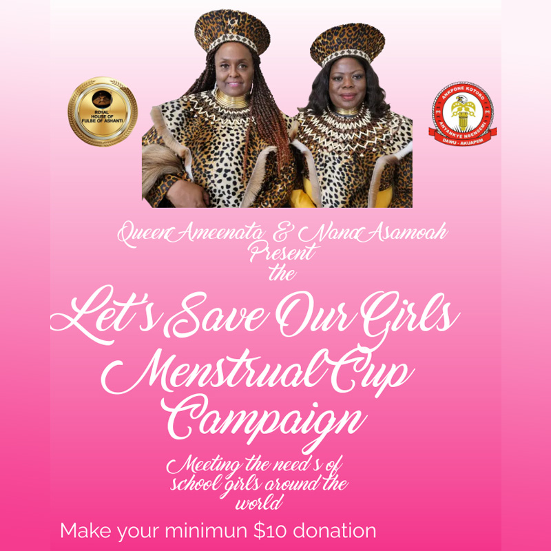 Let’s Save Our Girls Menstrual Cup Campaign